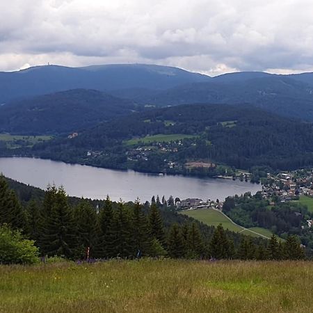 Friedolin Im Baerenhuesli Leilighet Titisee-Neustadt Eksteriør bilde